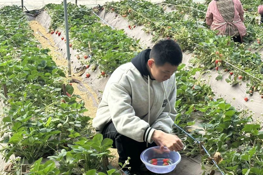 2025世俱杯时间表