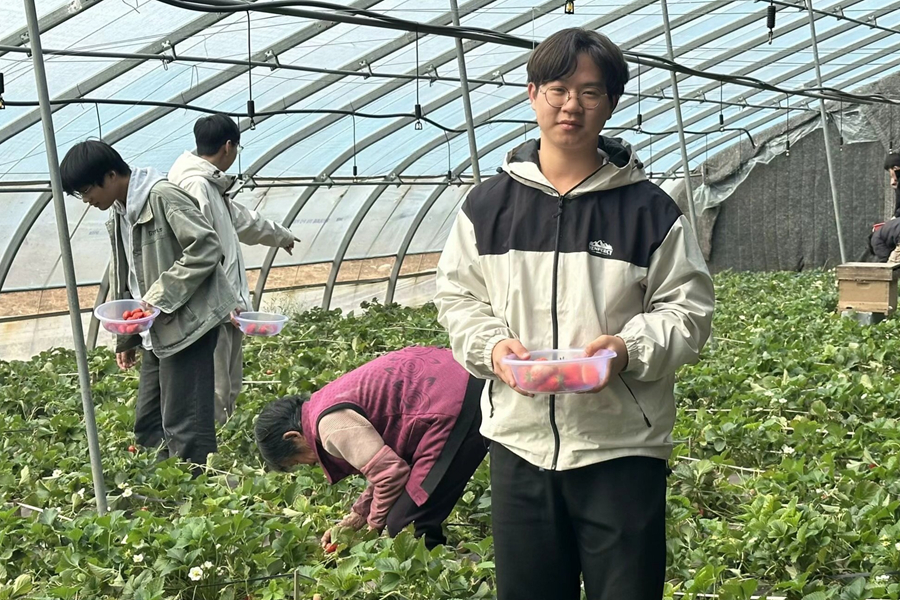 2025世俱杯时间表