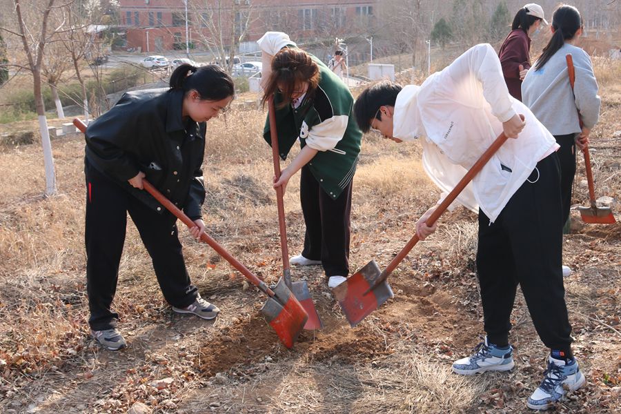 122cc太阳集成游戏
